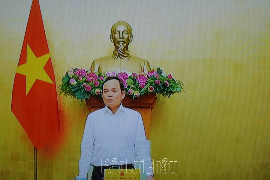 Phó Thủ tướng Chính phủ Trần Lưu Quang phát biểu kết luận hội nghị. 