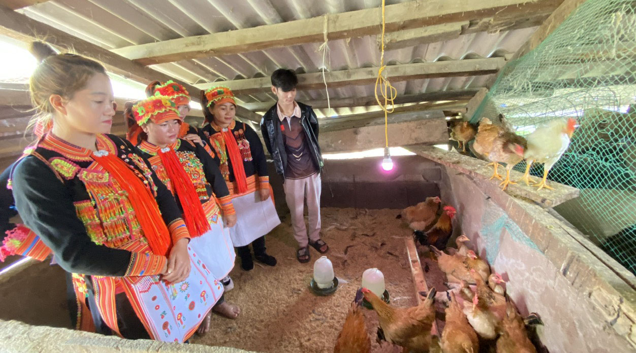 Người dân xã Hoang Thèn tham quan mô hình gà tại hộ gia đình anh Phàn Văn Dũng ở bản Huổi Luông. 