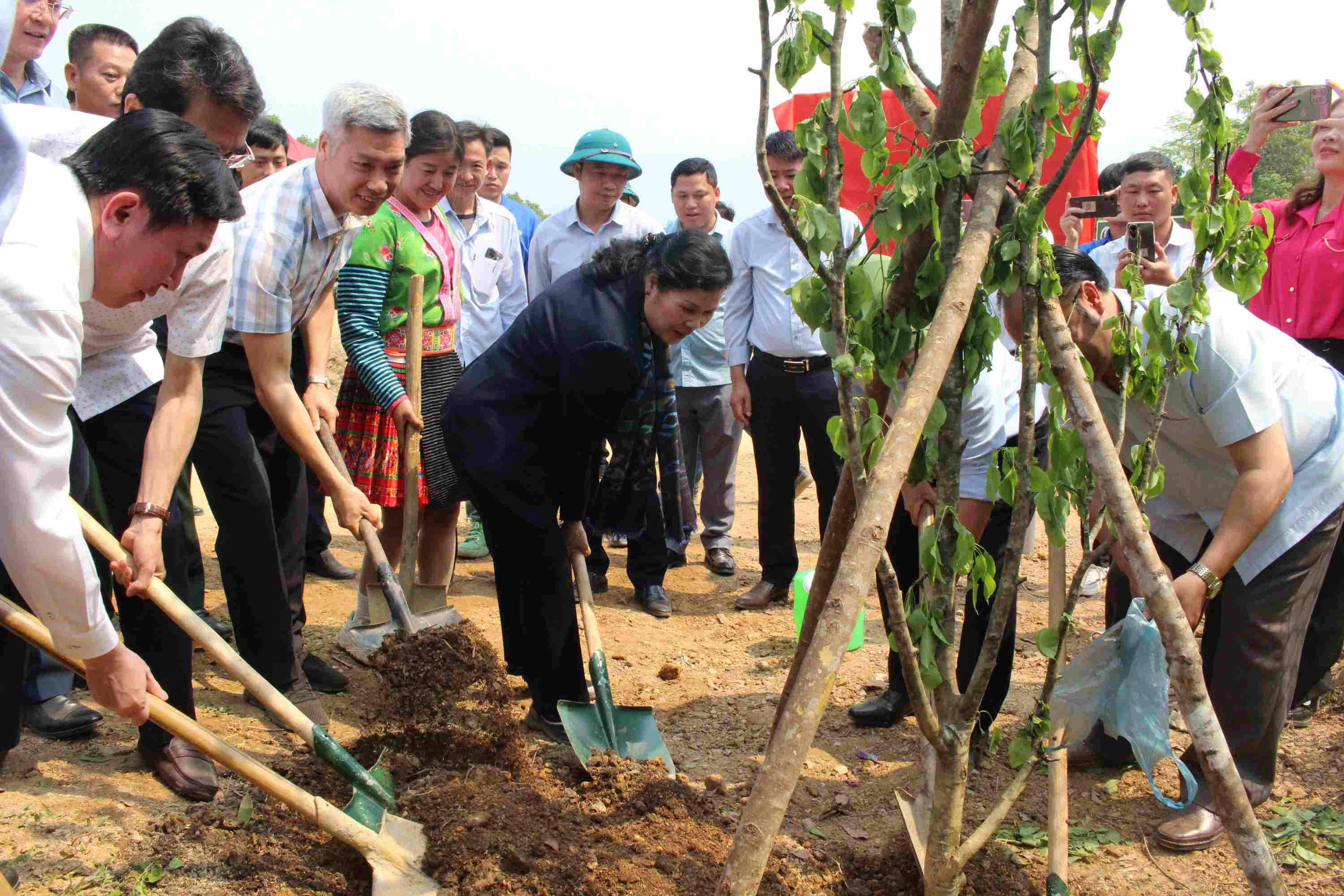 Đồng chí Giàng Páo Mỷ trồng cây tại tuyến đường trung tâm xã Pú Đao. 