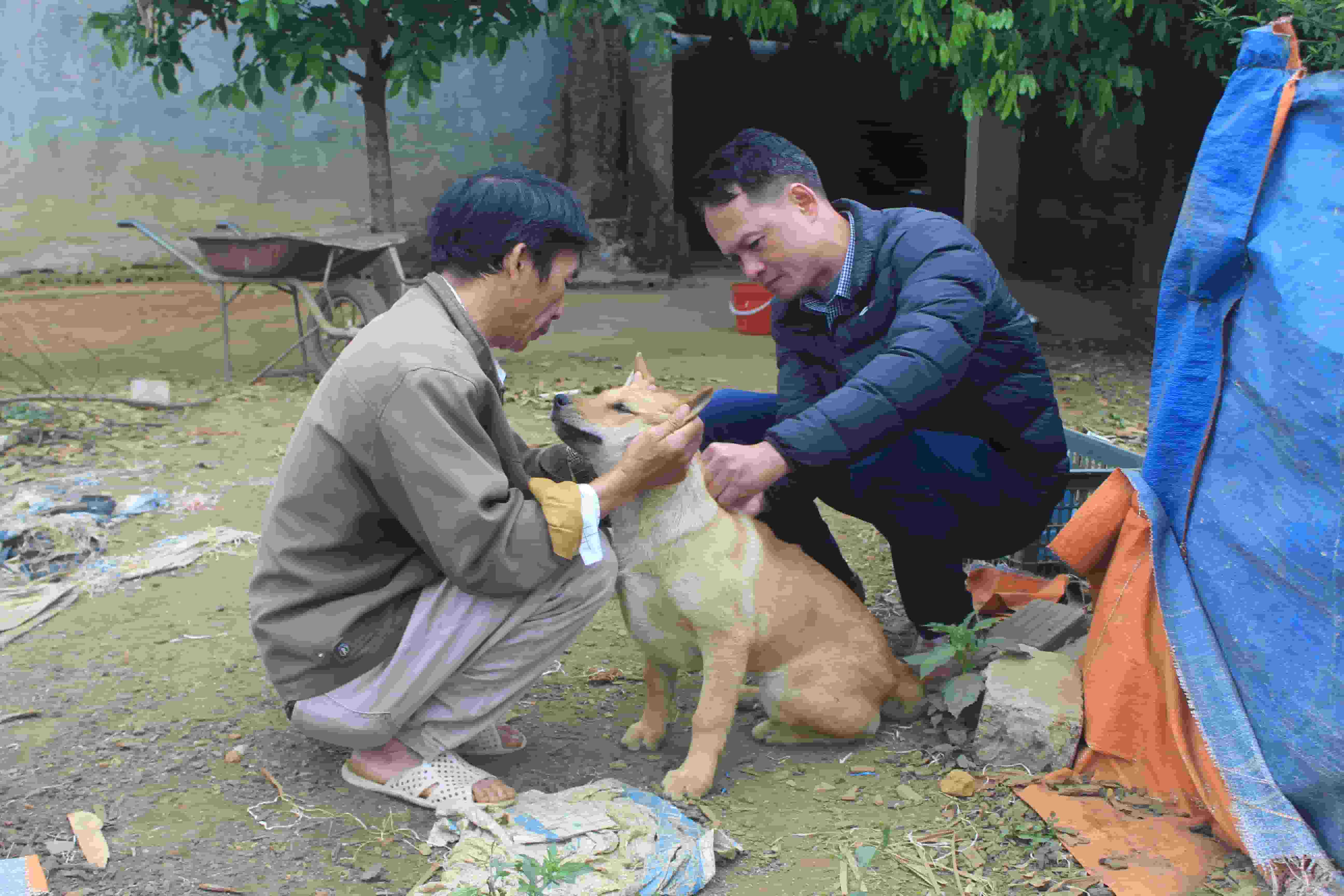 Cán bộ trung tâm dịch vụ nông nghiêp thành phố tiêm phòng vắc xin chó dại cho người dân quyết tiến