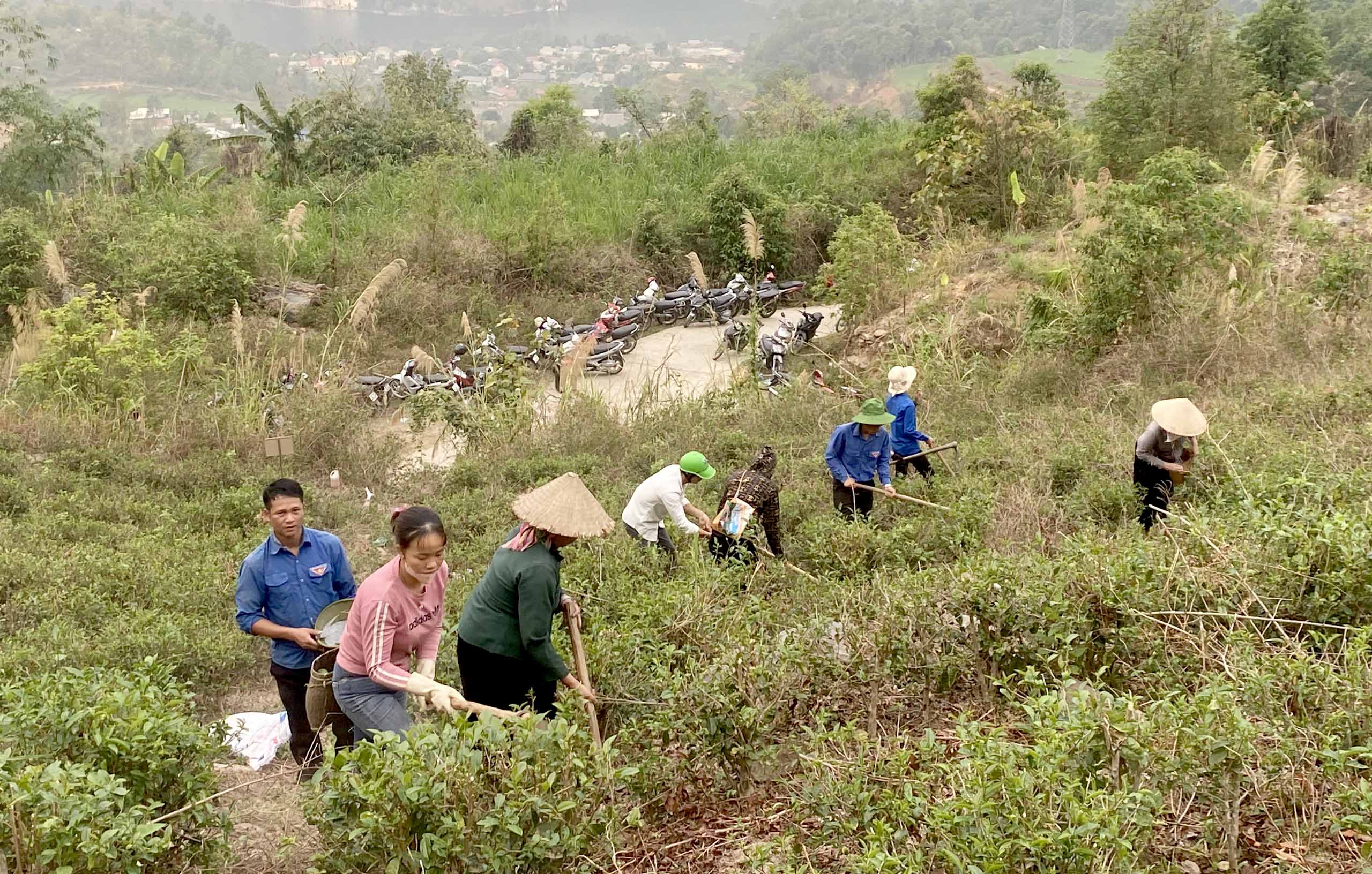 Cán bộ, đoàn viên, hội viên tích cực giúp nhân dân bản Củng làm cỏ, bón phân cho chè. 