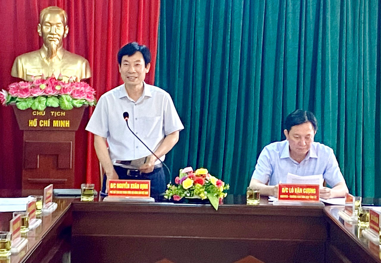 Đồng chí Nguyễn Xuân Định - Phó Chủ tịch Ban Chấp hành Trung ương Hội Nông dân Việt Nam phát biểu tại buổi làm việc.