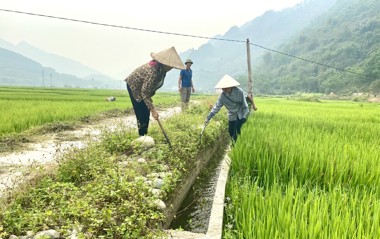 Người dân xã Mường So thường xuyên thăm đồng, nạo vét kênh mương, khơi thông dòng chảy, đưa nước về ruộng hạn chế khô hạn cho cây lúa.