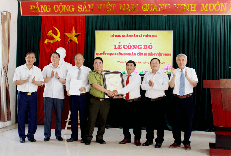 Lãnh đạo UBND xã Thèn Sin đón nhận Quyết định công nhận cây di sản Việt Nam.