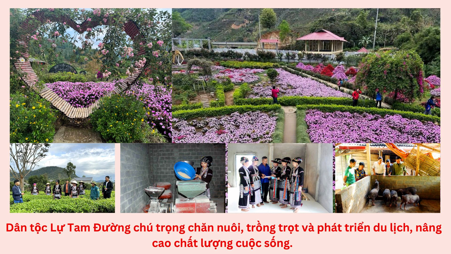 Ảnh 4 (trong tổng số 6 ảnh) - Toàn huyện