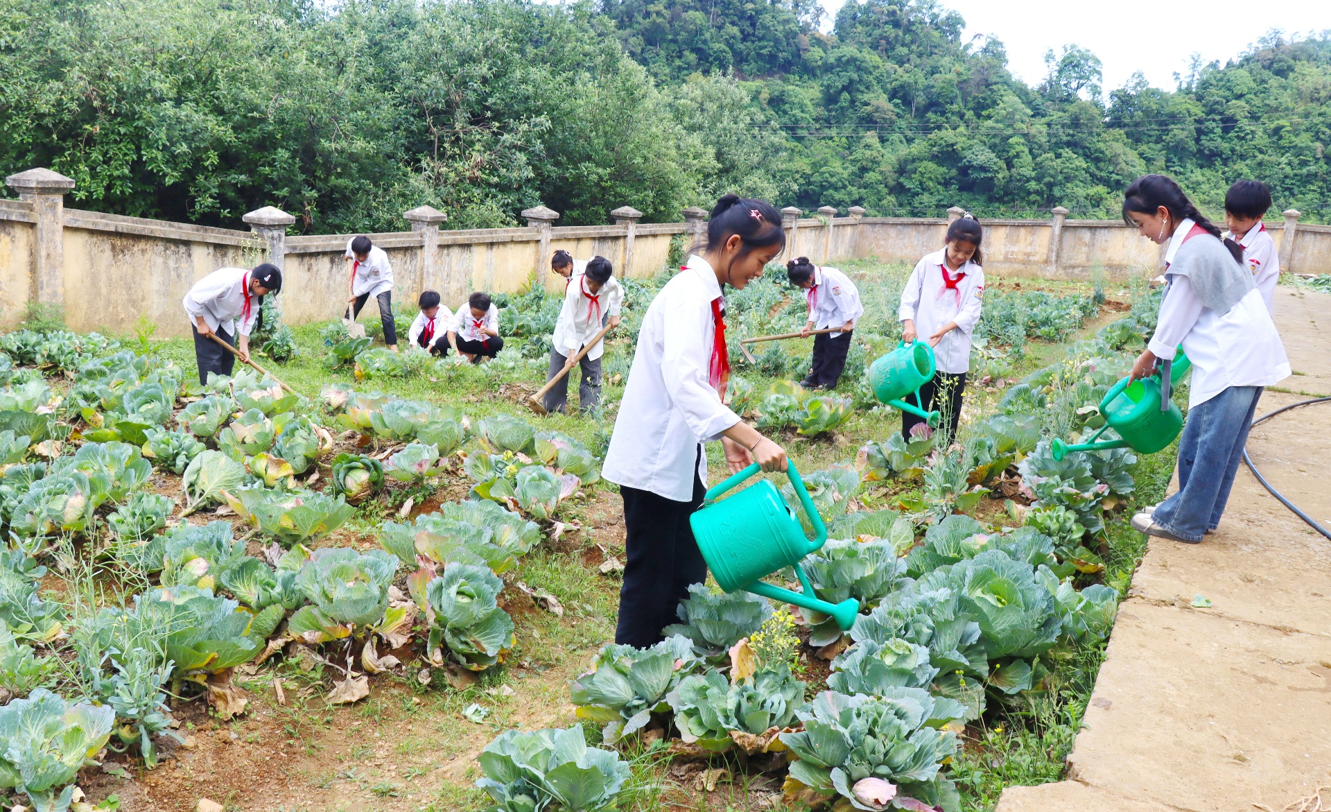 ...trải nghiệm hoạt động ngoại khóa.