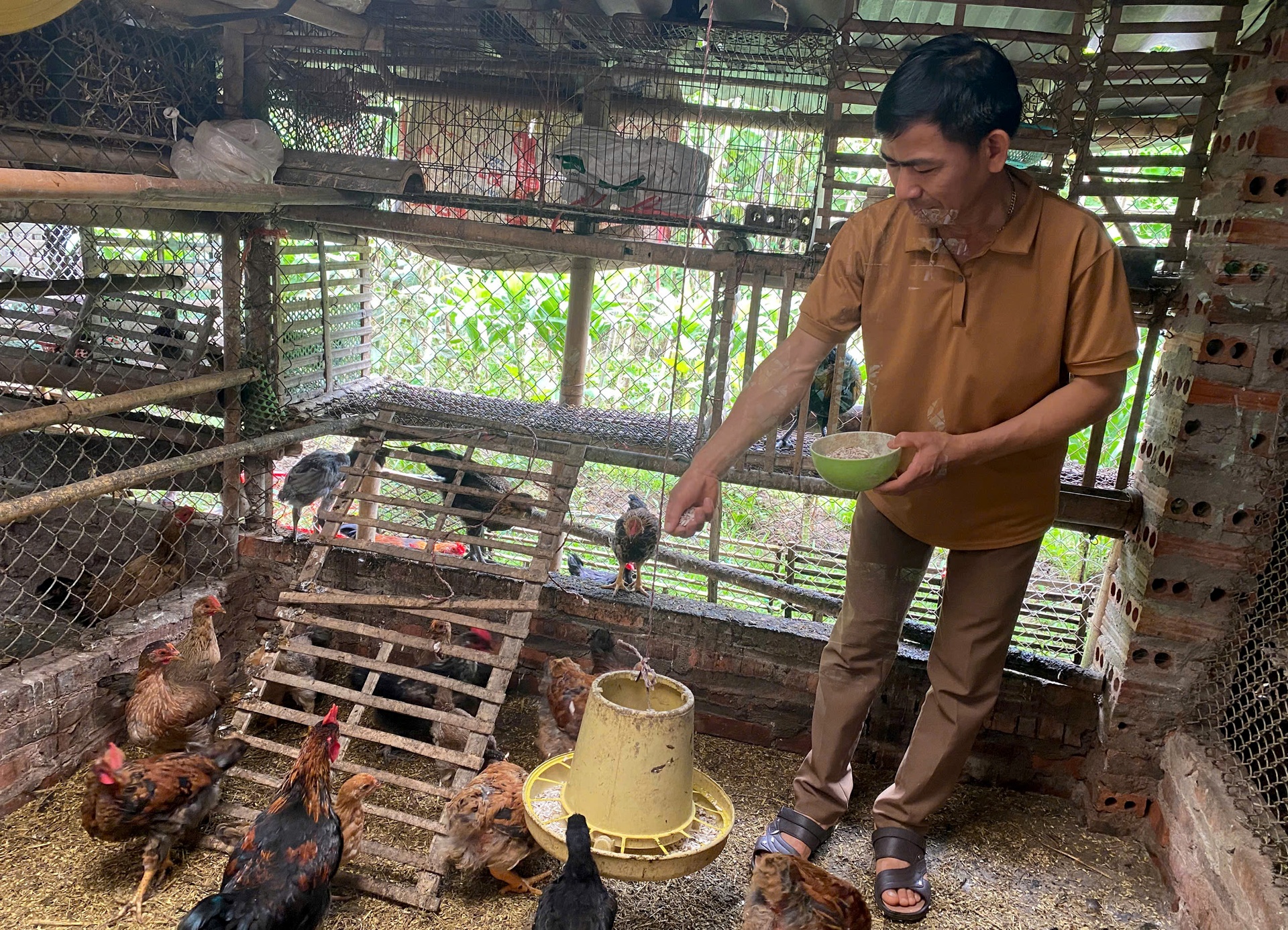 Nhờ được vay vốn ưu đãi từ Phòng Giao dịch Ngân hàng CSXH huyện Than Uyên, anh Mè Văn Lữ đã phát triển thành công mô hình chăn nuôi tổng hợp. 