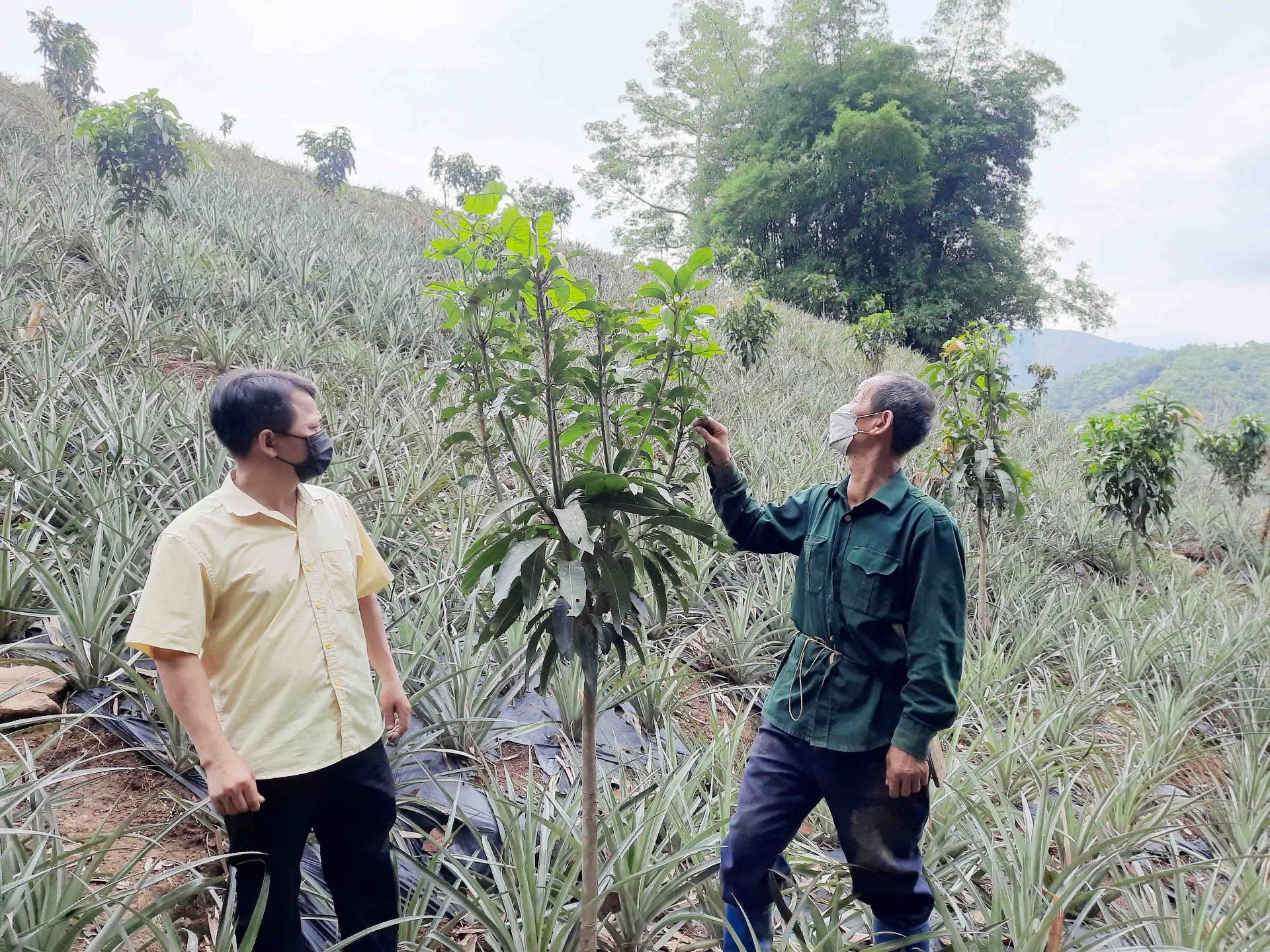 Dưới sự lãnh đạo của chi bộ, nhiều chủ trương, chính sách đã đi vào cuộc sống, nhiều hộ dân ở bản Pá Bon mạnh dạn phát triển kinh tế, xoá được đói nghèo.