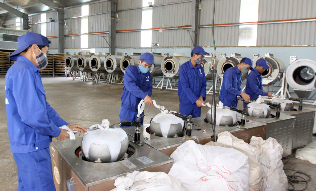 Công nhân Công ty Cổ phần Đầu tư Phát triển chè Tam Đường chế biến chè Ô Long