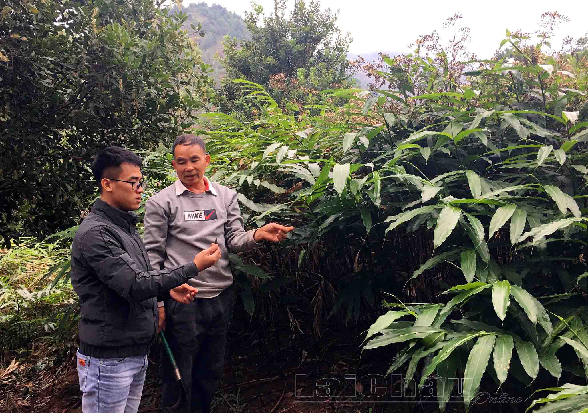 người dân bản đông phong