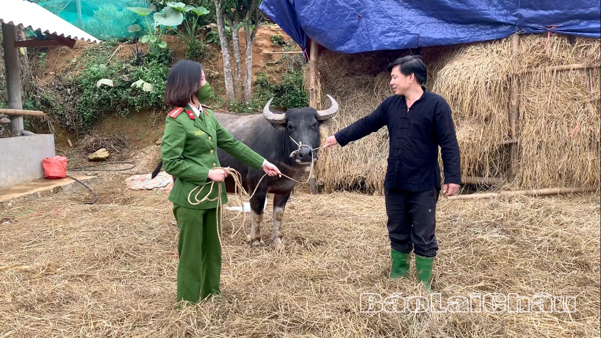 Anh Ngà Văn Tích, bản Mé, xã Mường Cang vui mừng nhận lại con trâu bị trộm cắp từ lực lượng Công an huyện Than Uyên.
