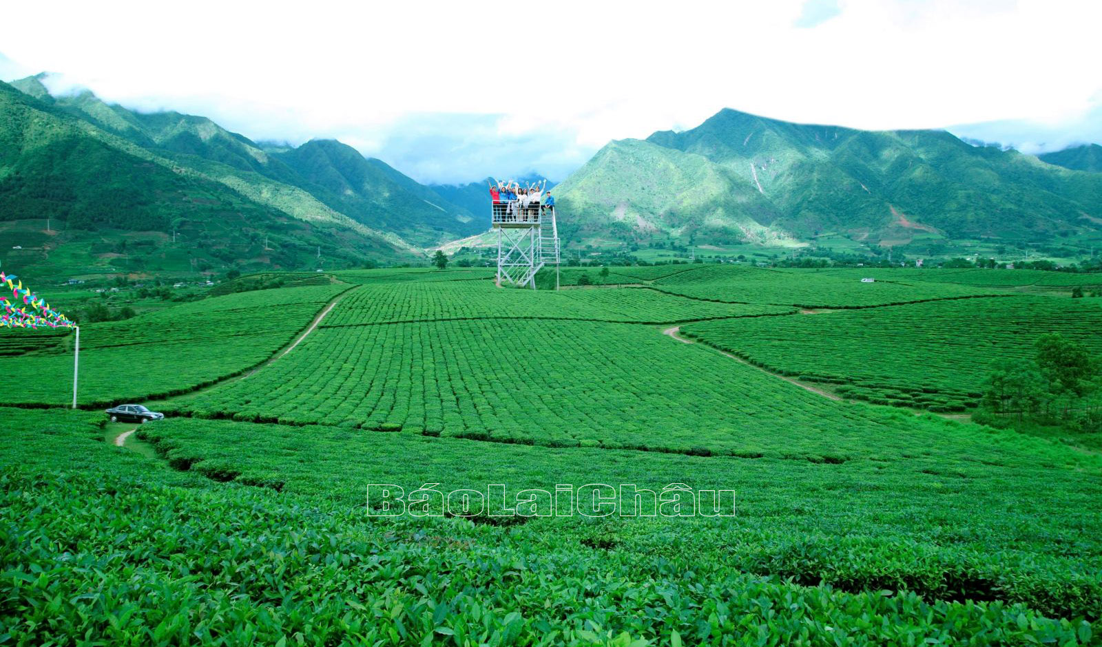 Đồi chè Tân Uyên bạt ngàn màu xanh kéo dài tới tận chân trời.