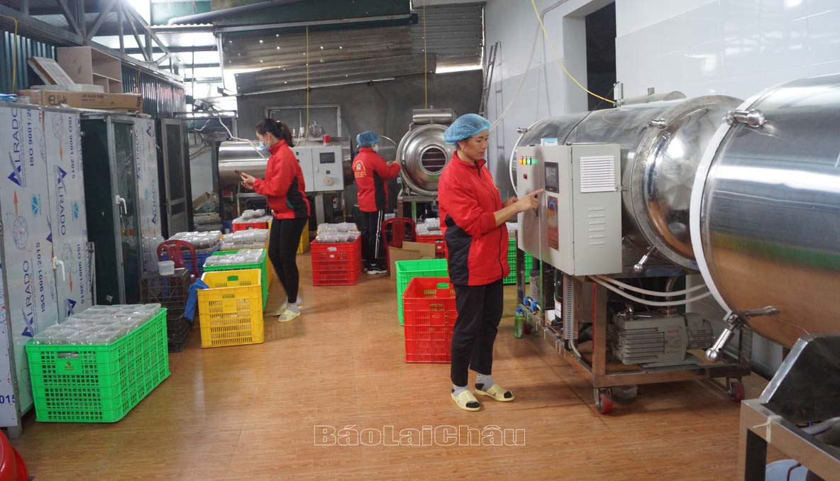 Phát triển thương mại dịch vụ 