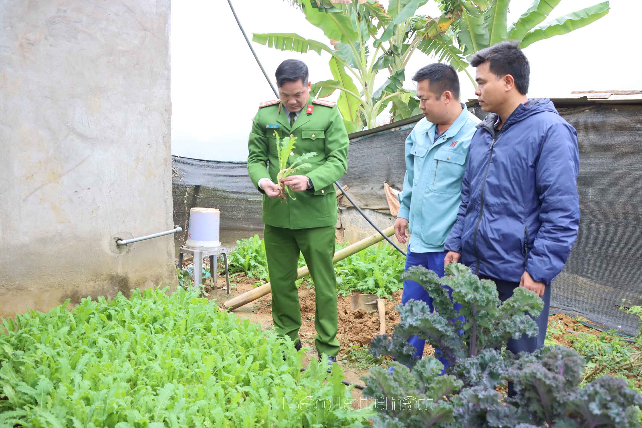 Công an tỉnh tới hiện trường chỉ đạo điều tra vụ việc