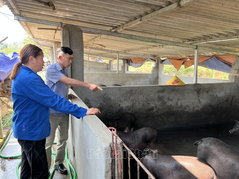 phát triển kinh tế