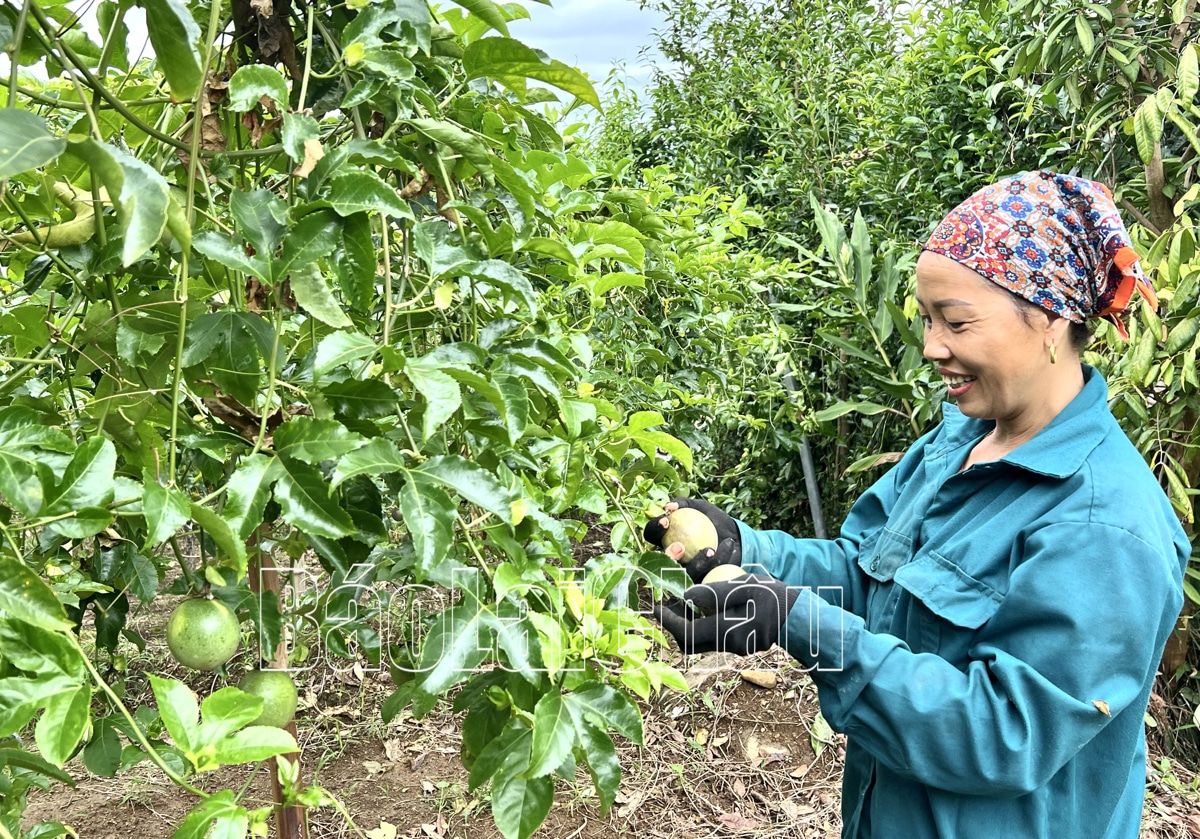 phát triển kinh tế