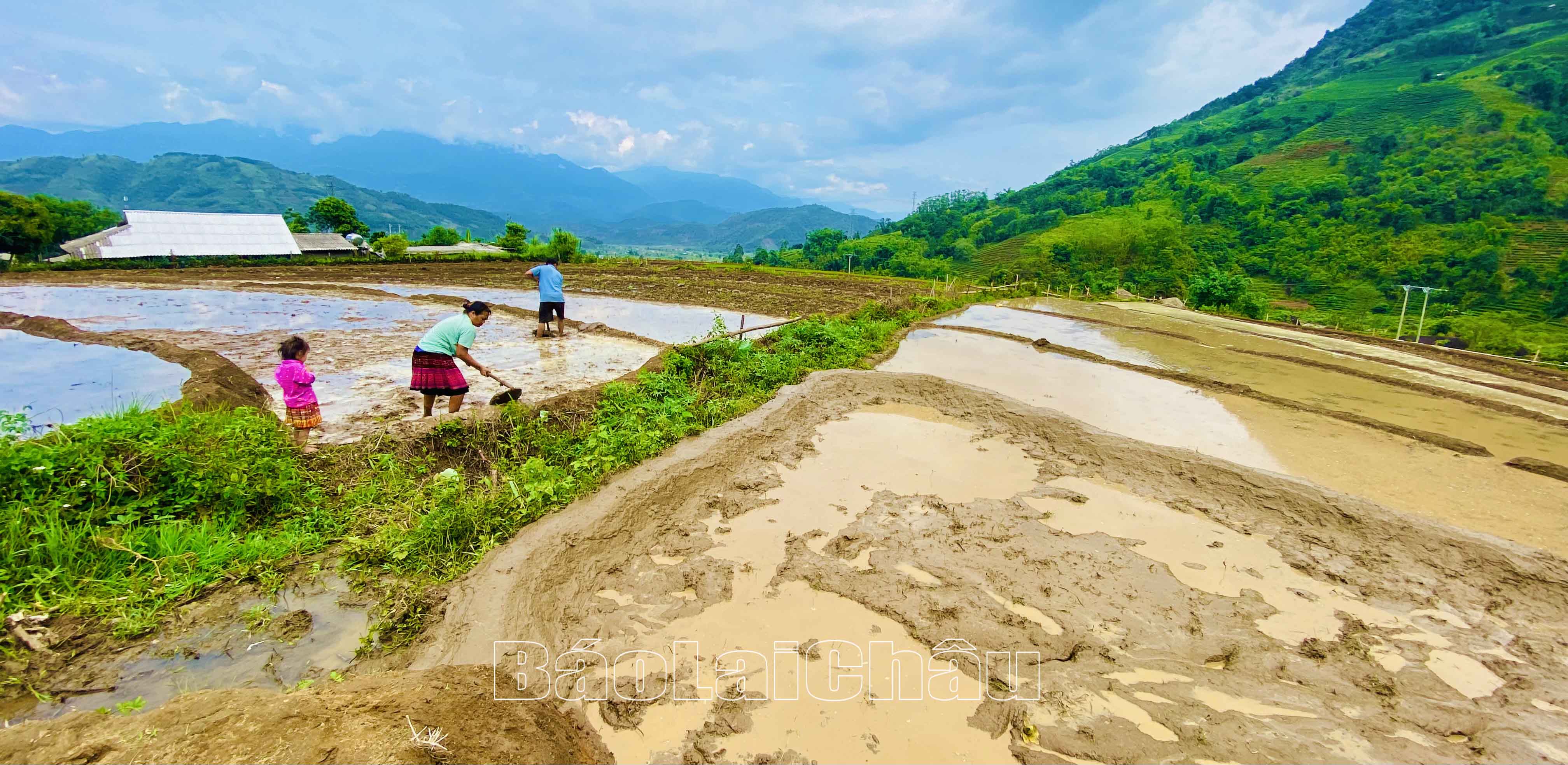Để có những thửa ruộng bậc thang trải dài, cần sự kỳ công, khéo léo từ đôi bàn tay của người nông dân.