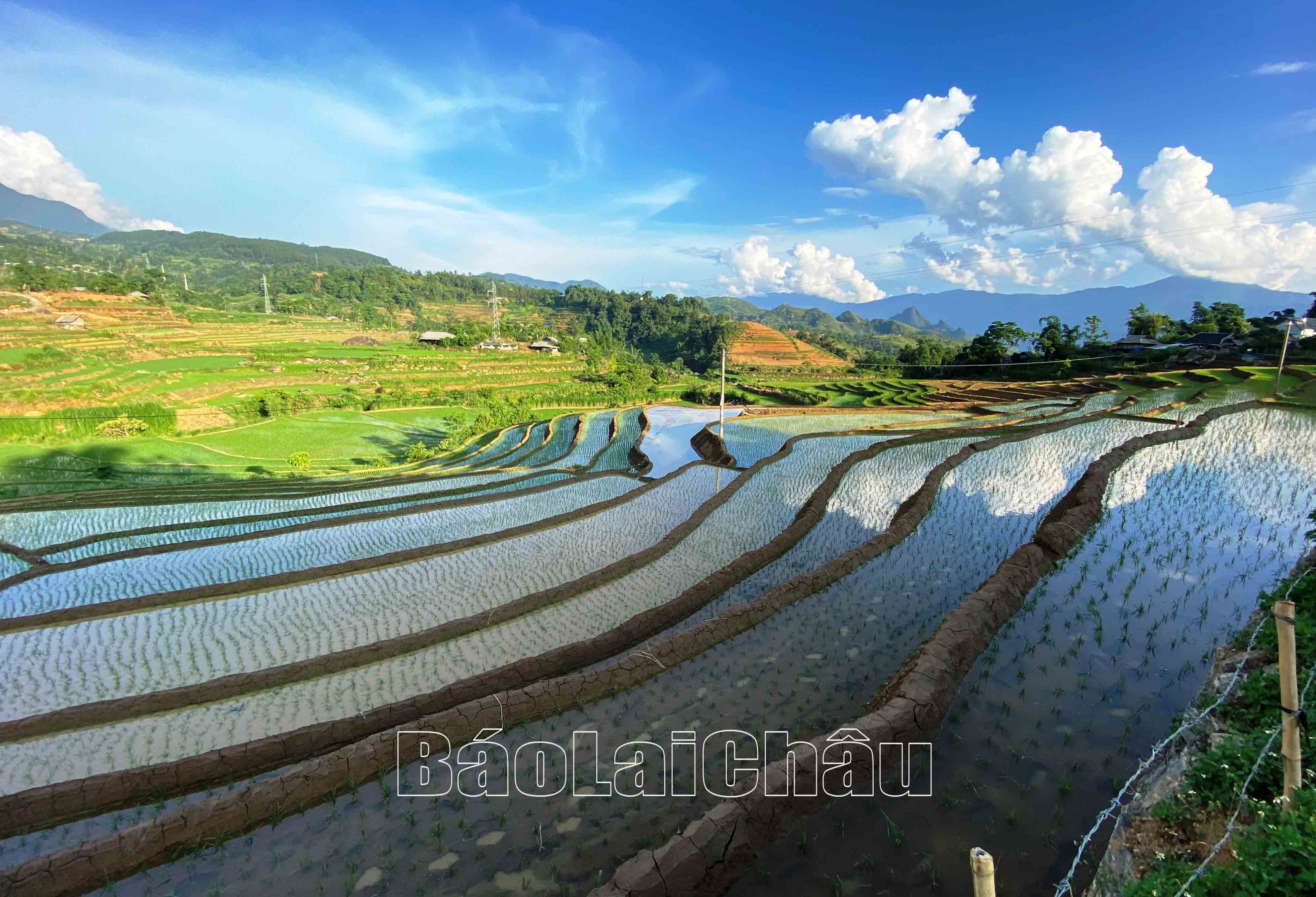 Mỗi thửa ruộng bậc thang là một bức họa về miền quê Tây Bắc.