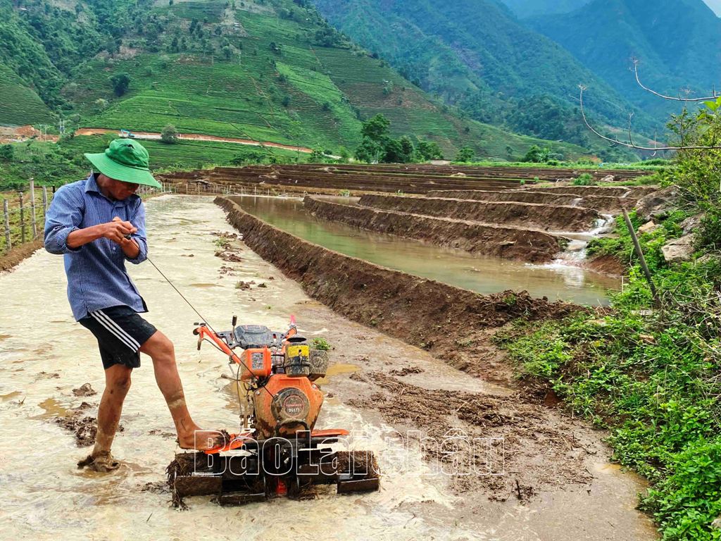 Canh tác trên địa hình đất dốc song bà con vẫn có thể dùng máy cày, máy bừa phù hợp với điều kiện địa hình.