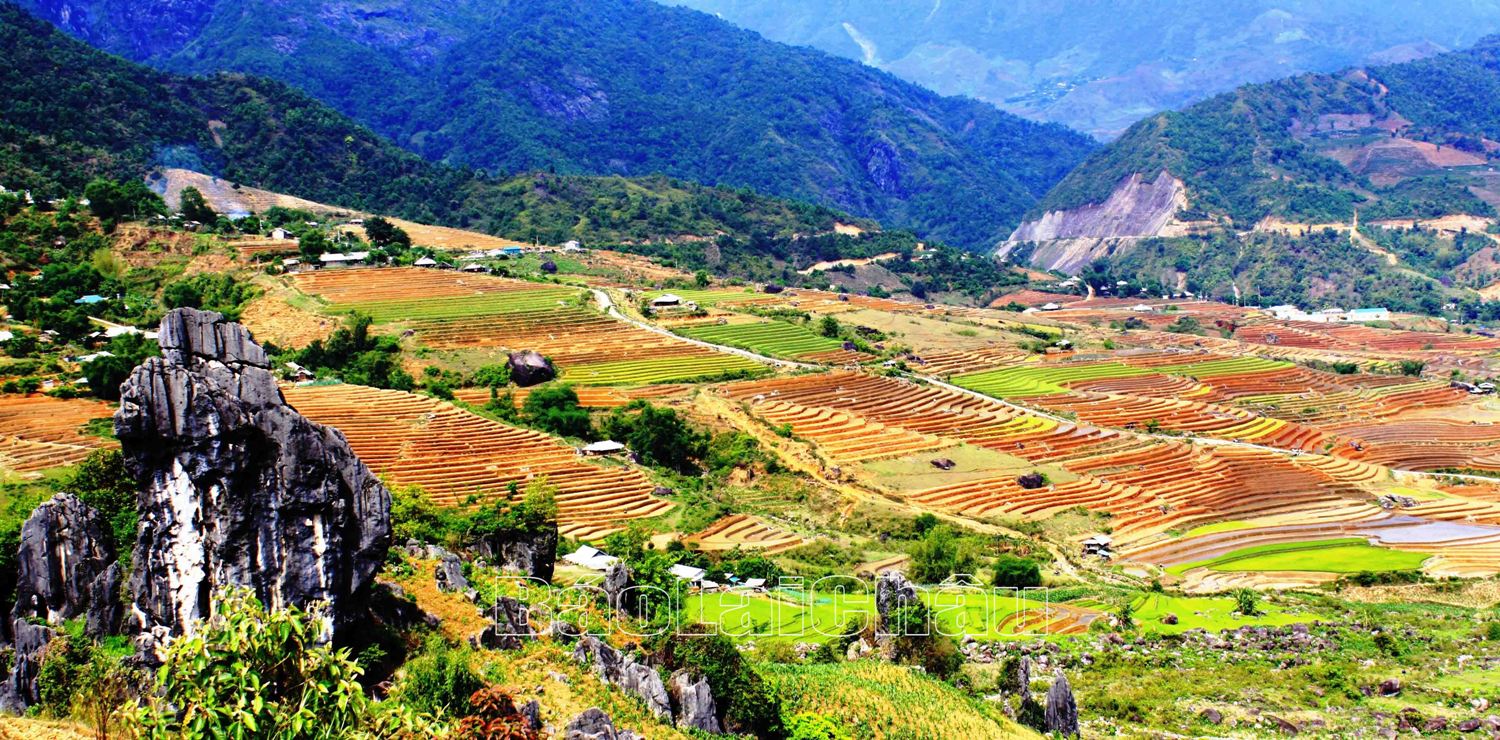 Địa hình dốc, người dân tận dụng tối đa diện tích bằng phẳng để canh tác tạo nên những khu ruộng bậc thang thoai thoải đẹp mê mẩn.