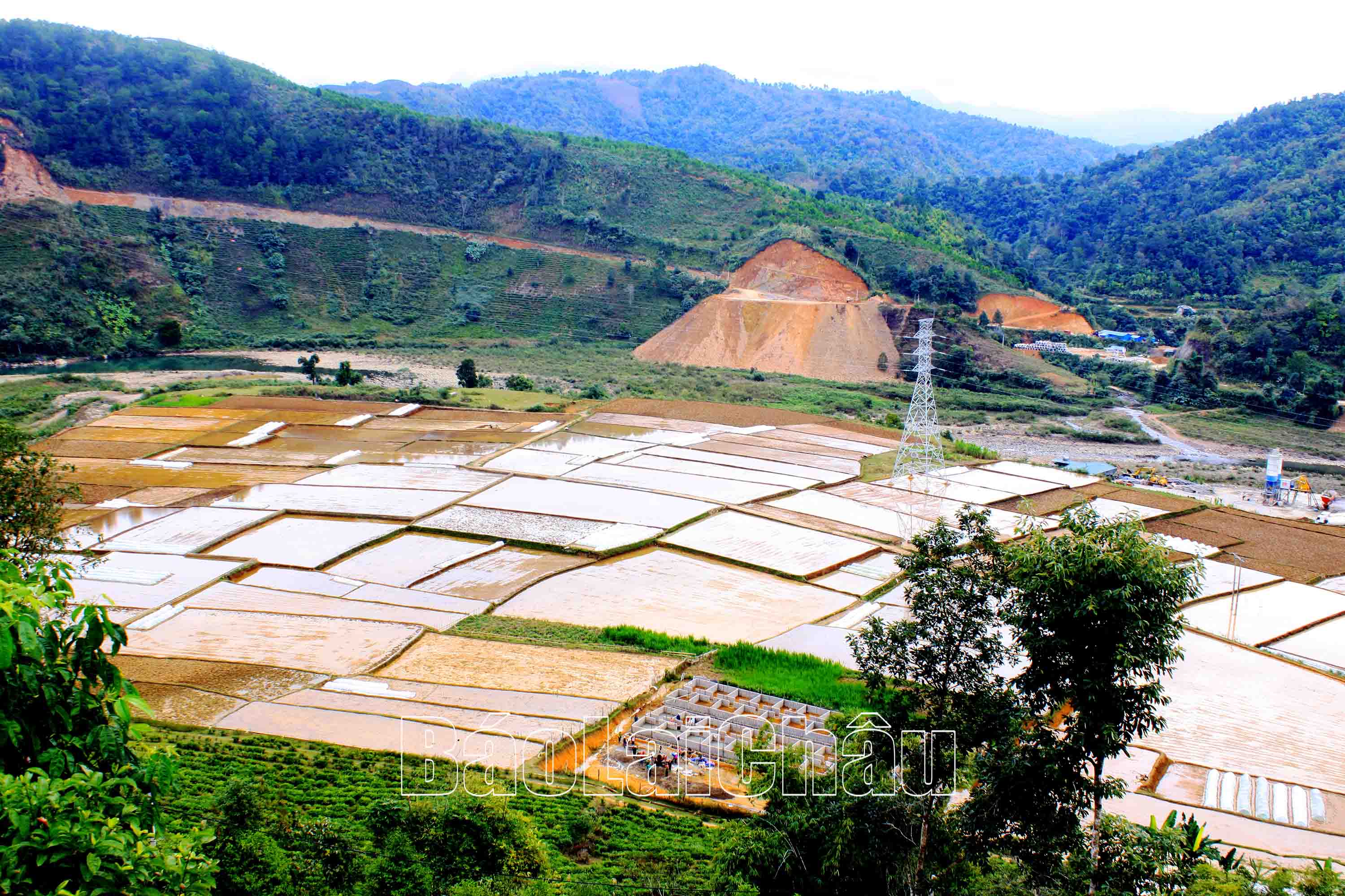Không lâu nữa, những thửa ruộng vàng màu đất sẽ hóa thành màu vàng của lúa chín.