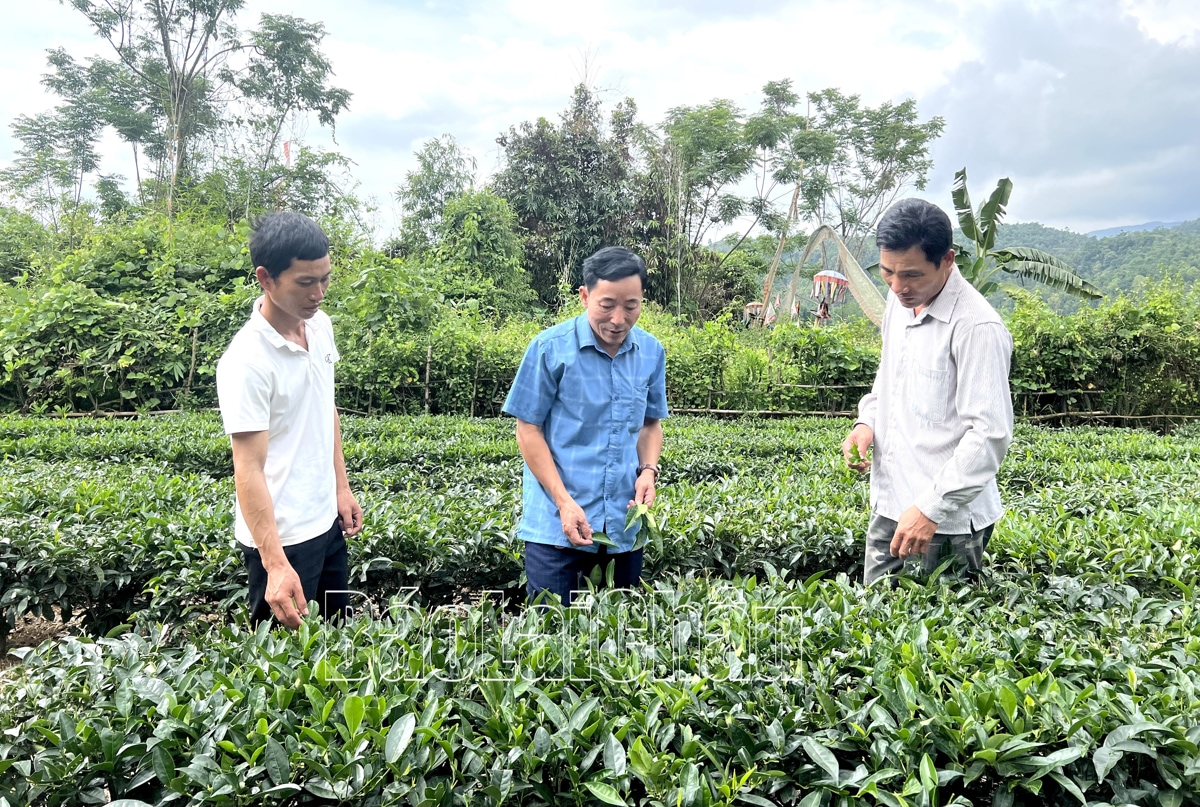 Lãnh đạo xã Bản Bo đẩy mạnh tuyên truyền phát triển kinh tế