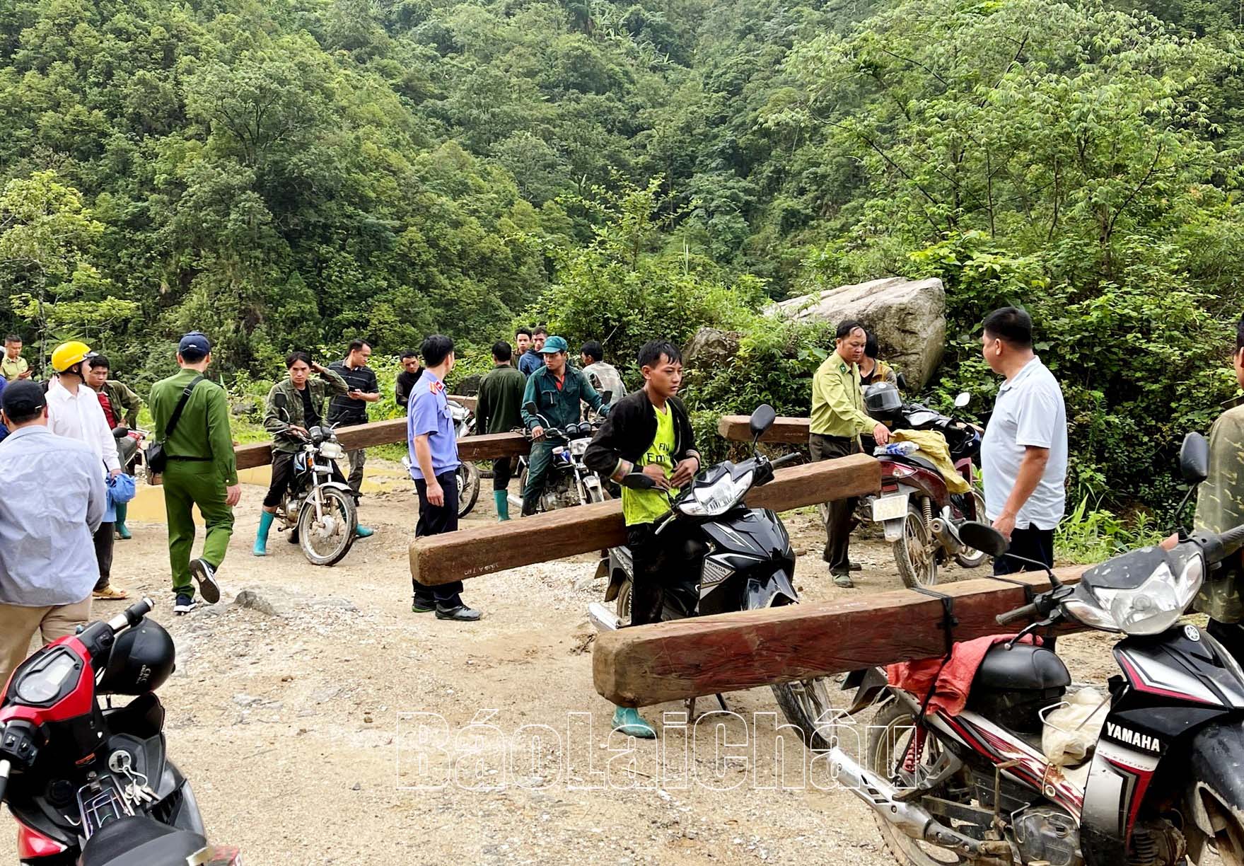 Lượng gỗ các đối tượng đang thực hiện vận chuyển trái phép.