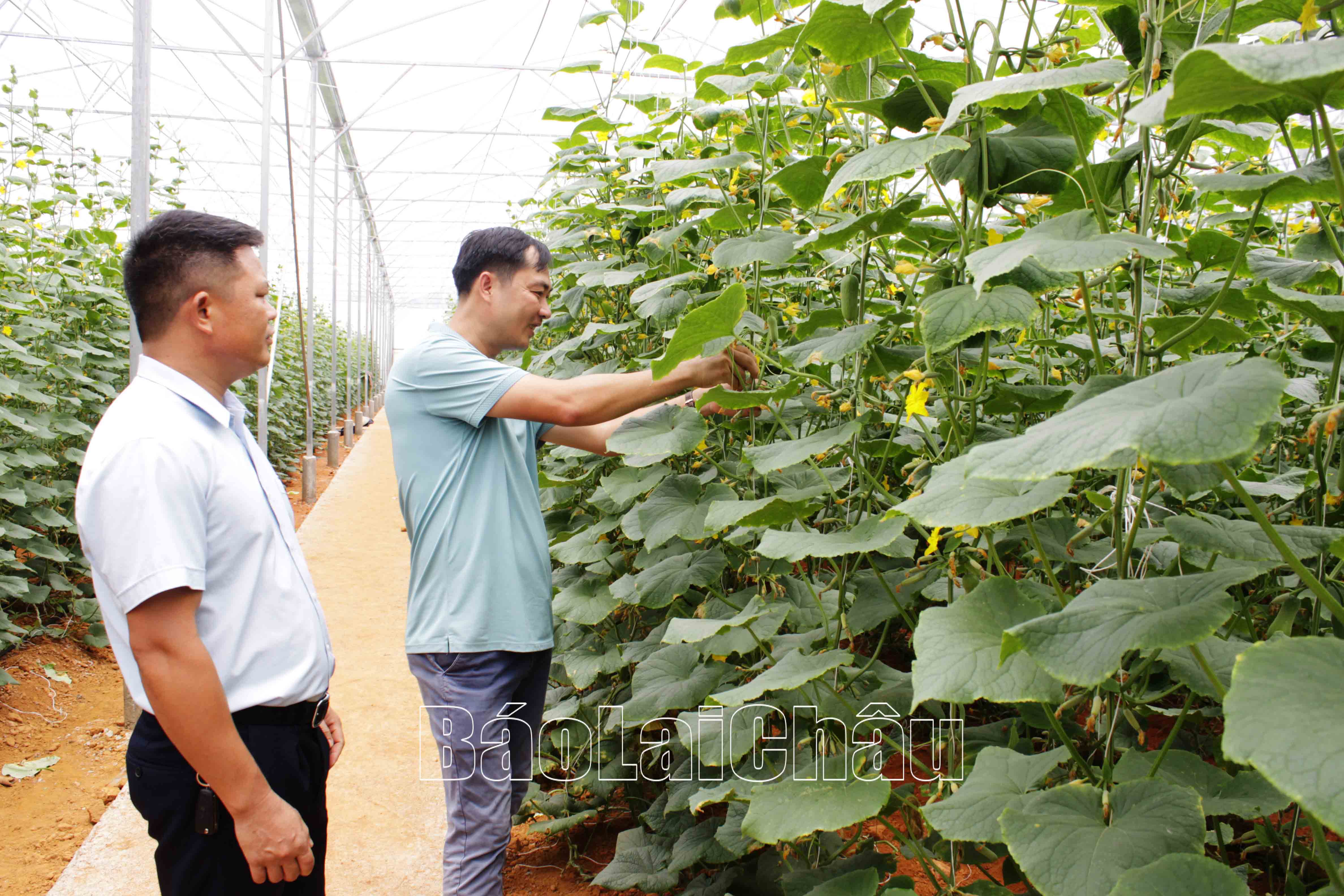 Lãnh đạo Đảng ủy xã Pắc Ta thường xuyên sâu sát nắm tình hình cơ sở để có giải pháp lãnh đạo sát thực tế.