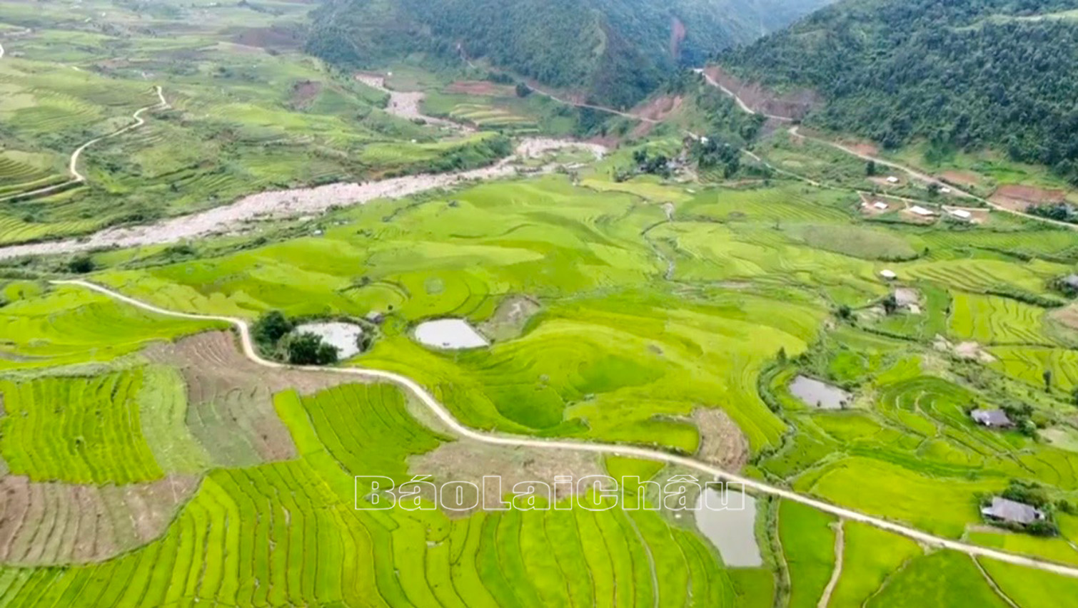 Ruộng bậc thang xã Tà Mung (huyện Than Uyên) đẹp như bức tranh thủy mặc.