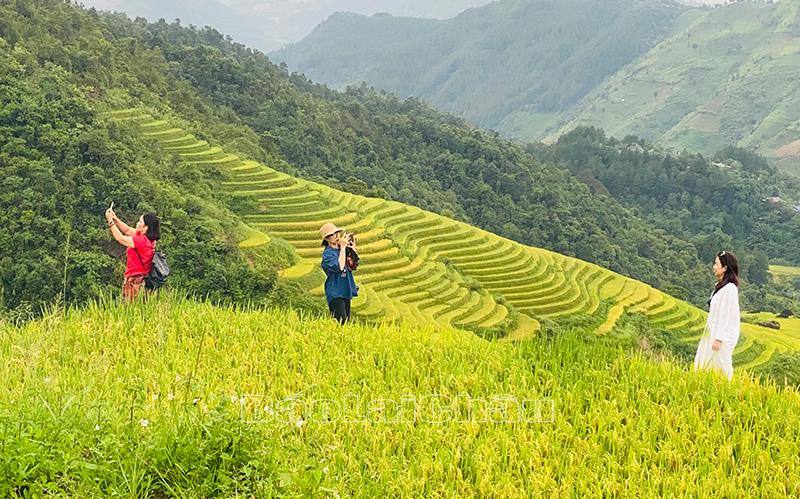 Đoàn khảo sát chụp ảnh lưu niệm ruộng bậc thang ở bản Ngài Thầu Cao (xã Khun Há, huyện Tam Đường).