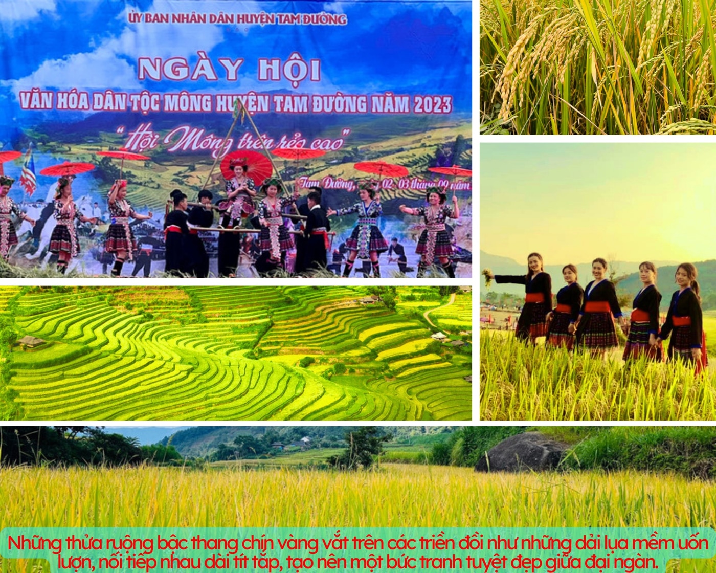 ruộng bậc thang