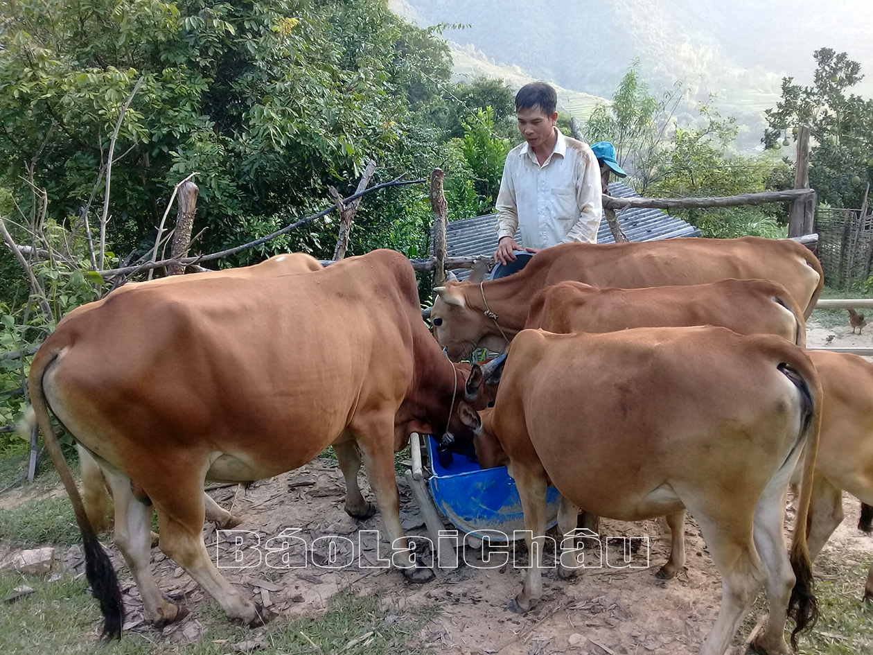 Nhờ học Bác tinh thần tự lao động, gia đình anh Lò Văn Hương (bản Đán Đăm, xã Hua Nà) tích cực phát triển kinh tế từ chăn nuôi, trồng trọt.