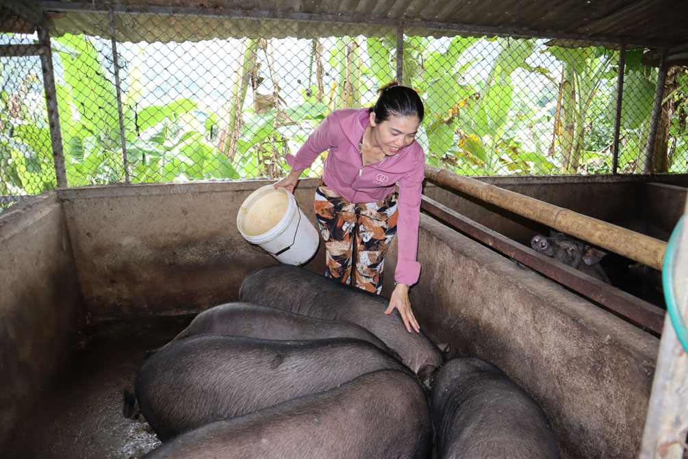 thị trấn Mường Tè 