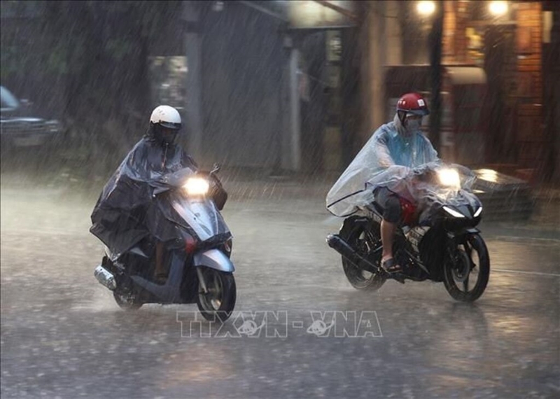 Ảnh minh họa. Nguồn: TTXVN 