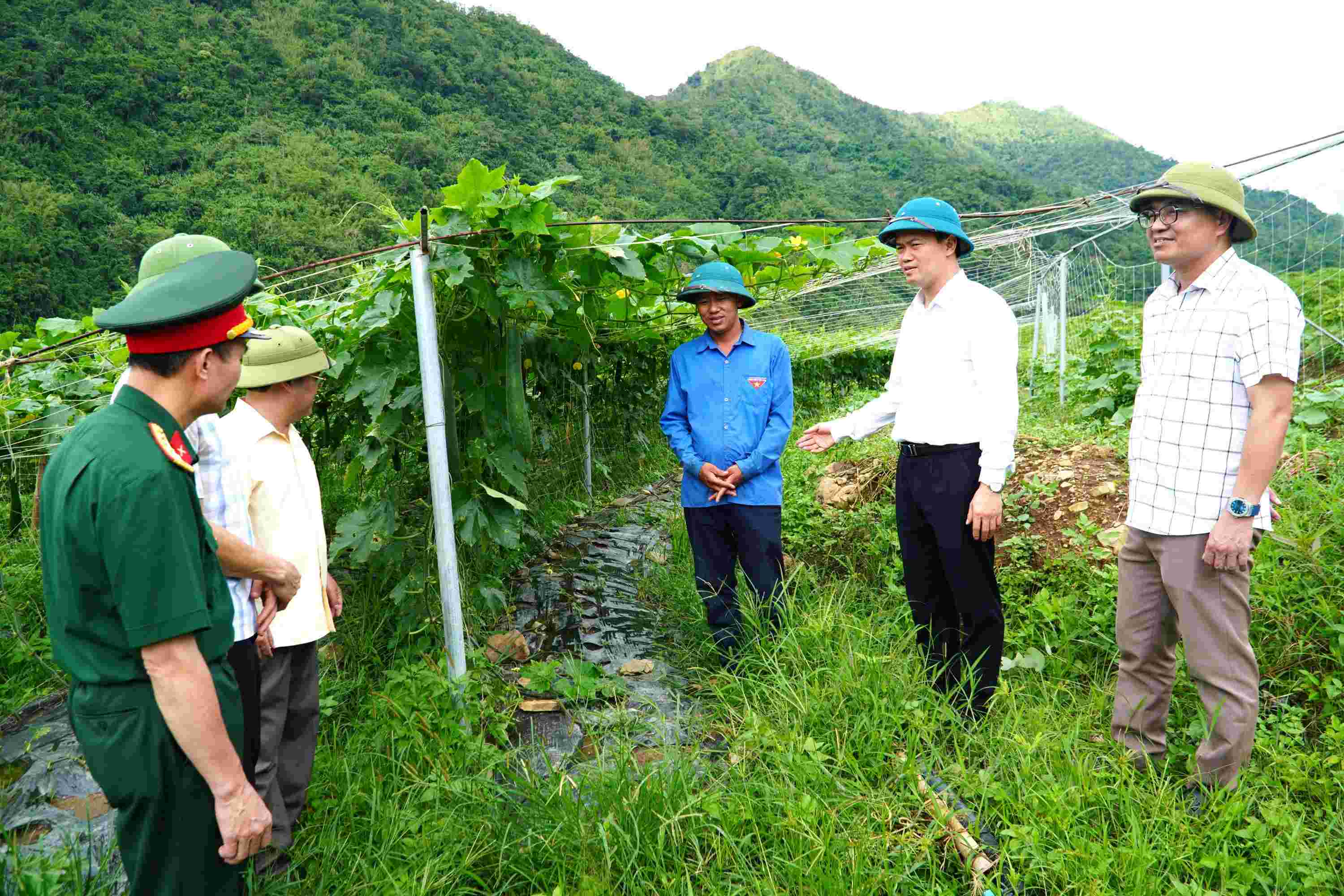 Đồng chí Vũ Mạnh Hà và thành viên Đoàn công tác thăm quan mô hình trồng bí xanh của người dân bản Nậm Manh, xã Nậm Manh.