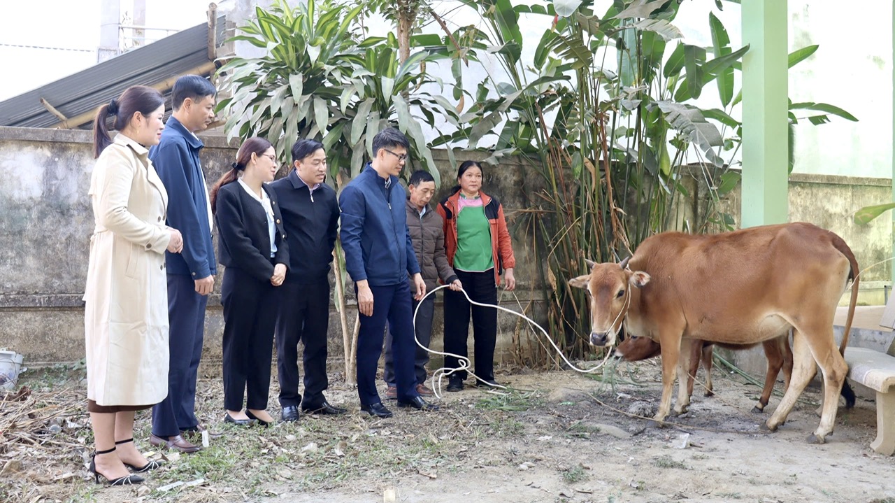 Lãnh đạo Hội Nông dân tỉnh, Hội Nông dân huyện Phong Thổ, xã Bản Lang trao tặng bò cho gia đình ông Lừu Văn Chiến ở bản Nà Cúng, xã Bản Lang.