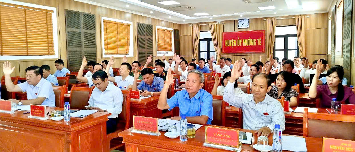 biểu quyết 
